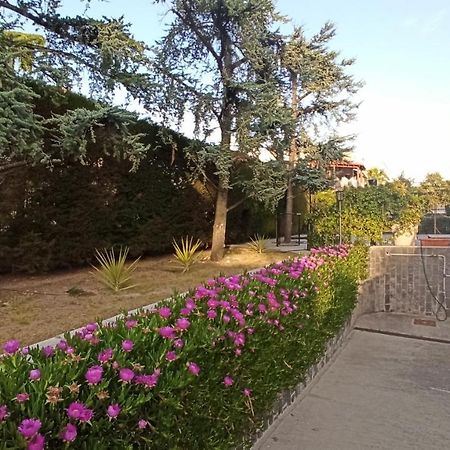 Villa Mary - Apartments Трани Екстериор снимка